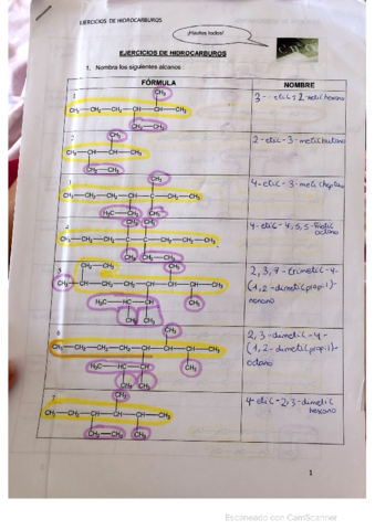 Formulacion-hidrocarburos.pdf