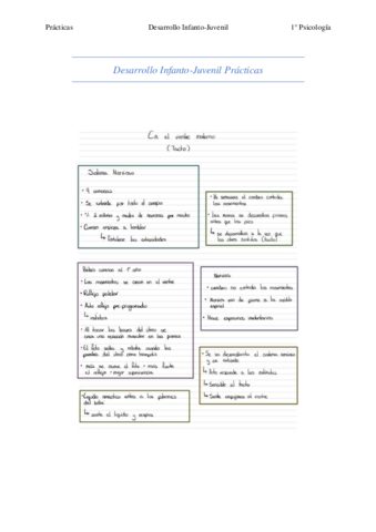 Desarrollo-Infanto-Juvenil-Practicas.pdf