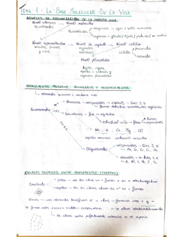 T1-Base-Molecular-De-La-Vida.pdf