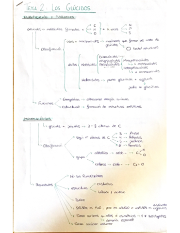 T2-Los-Glucidos.pdf
