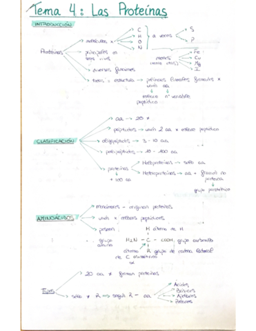 T4-Las-Proteinas.pdf