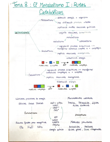 T8-Metabolismo-I-Rutas-Catabolicas.pdf