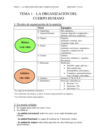 La-organizacion-del-cuerpo-humano.pdf