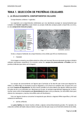TEMA-1-BIOLOGIA-CELULAR.pdf