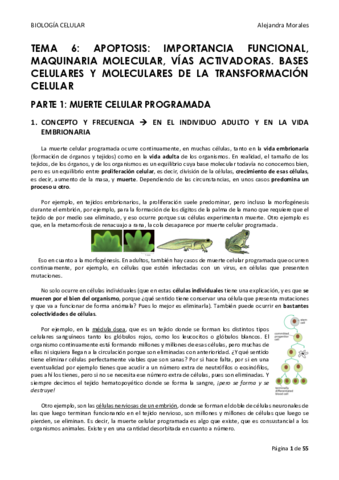 TEMA-6-BIOLOGIA-CELULAR-FINAL.pdf