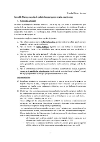 Tema-16-Trabajadores-Autonomos.pdf