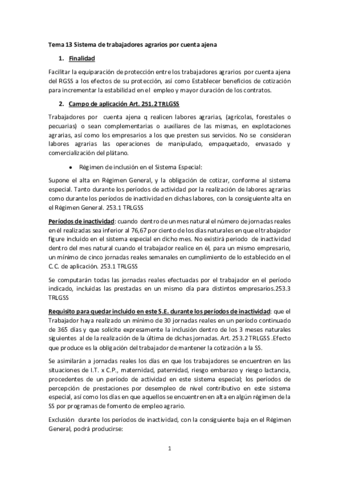 Tema-13-Sistema-de-trabajadores-agrarios-por-cuenta-ajena.pdf