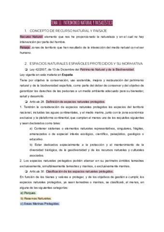 TEMA-11-PATRIMONIO-NATURAL-Y-PAISAJISTICO.pdf