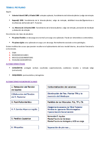 TEMARIO-PATOLOGIA-PODOLOGICA-20-26.pdf