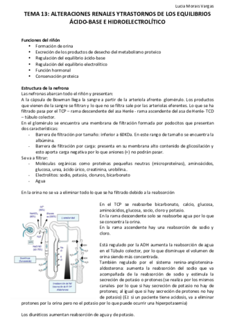 TEMA 13.pdf