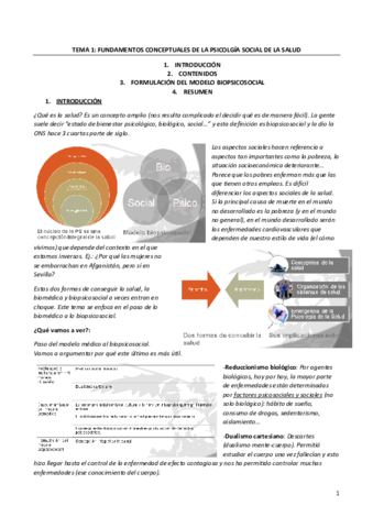 Tema-1-RESUMIDO.pdf