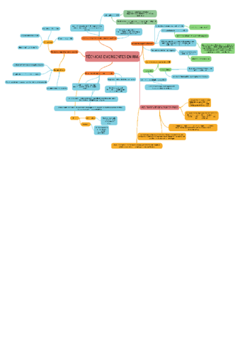 Esquema-tema-3-y-4.pdf