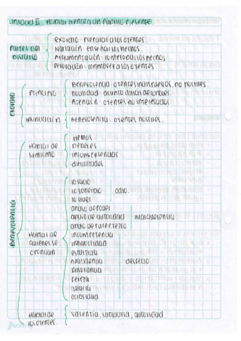 Undad-2-Partes-del-Discurso.pdf