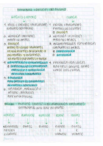 Estructura-del-Discurso.pdf