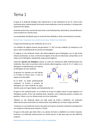 Estructura-de-Macromoleculas-1-5.pdf