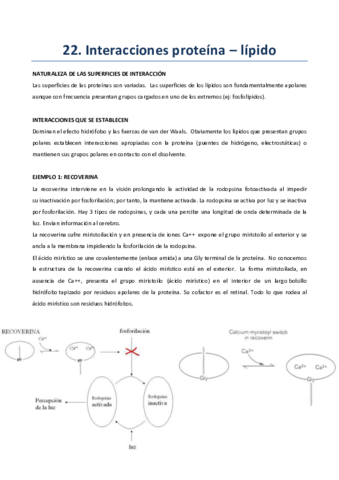 Tema-22.pdf
