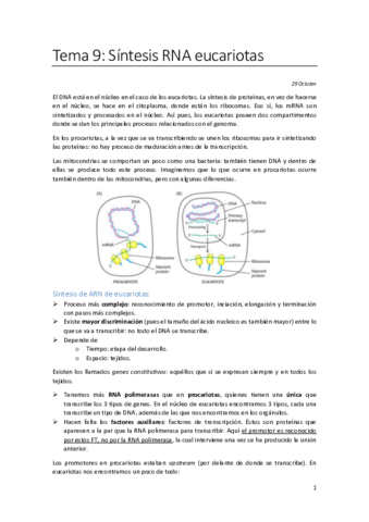 Tema-9.pdf