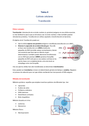 Tema-4-transfeccion.pdf