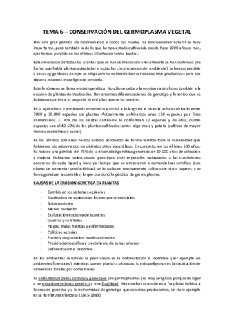 Tema-6.pdf