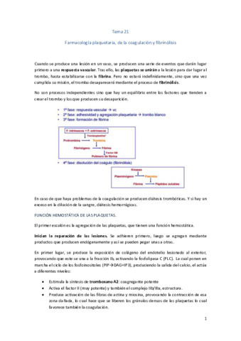 Tema-21.pdf