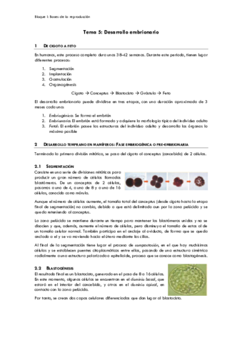 tema5.pdf