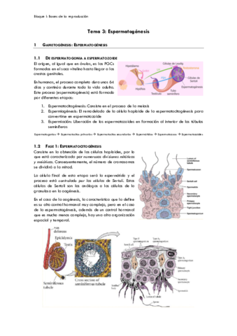 tema3.pdf