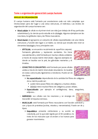 Anatomia-Tema-1.pdf