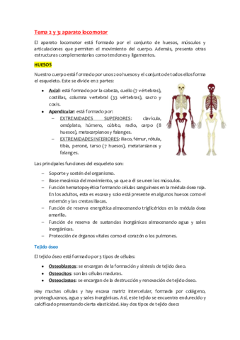 Anatomia-Tema-2-y-3.pdf