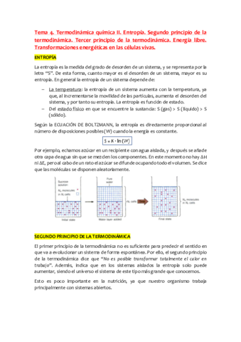 Tema-4.pdf