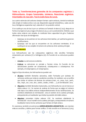 Tema-14.pdf