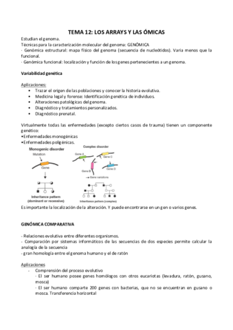TEMA 12 BIOTEC.pdf