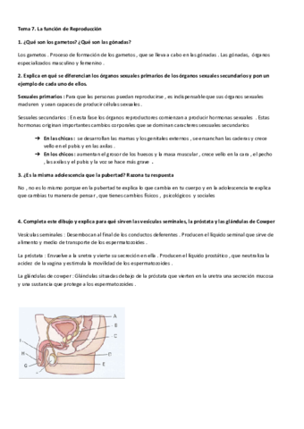 ACTIVIDADEVALUABLETEMAlareproduccion.pdf