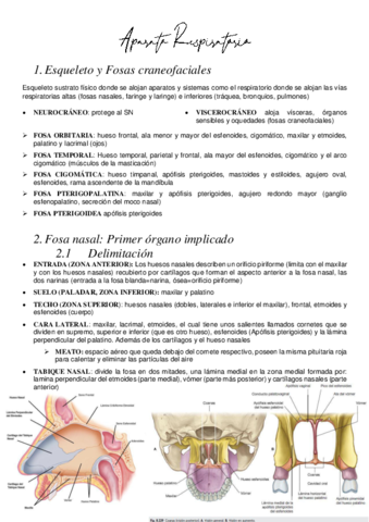 Aparato-Respiratorio.pdf