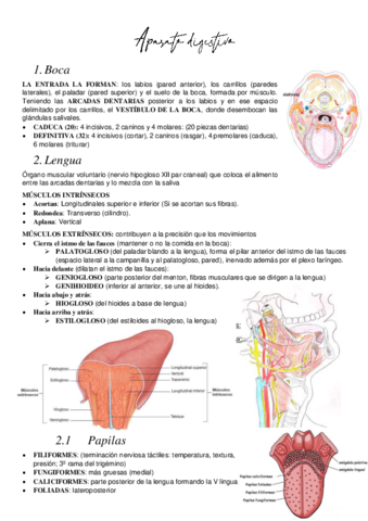 Aparato-Digestivo.pdf
