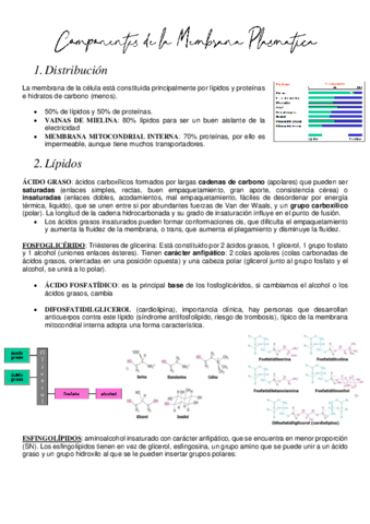 TODO-Bioquimica.pdf