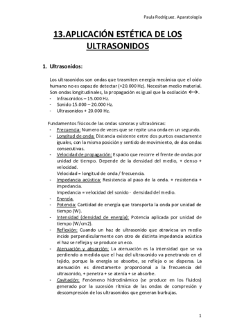 13.pdf