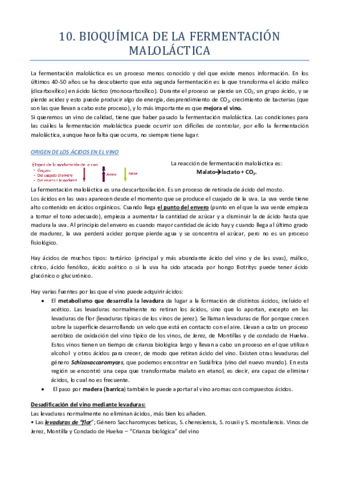 TEMA-11.pdf
