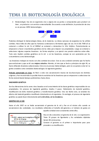 TEMA-18.pdf