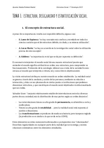 TEMA-1-ESTRUCTURA-DESIGUALDAD-Y-ESTRATIFICACION-SOCIAL-1.pdf