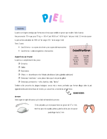 Generalidades-anatomia-de-piel-.pdf