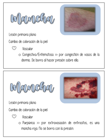 Lesiones-elementales-de-la-piel.pdf