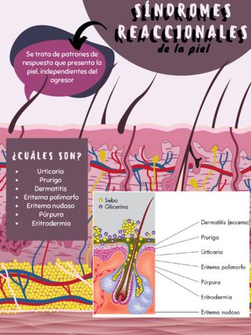 Sindromes-Reaccionales.pdf