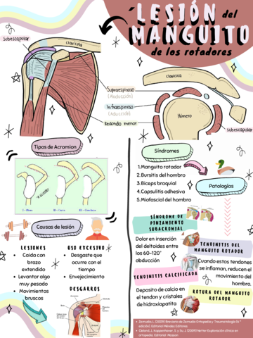 Lesion-del-Manguito-Rotador.pdf