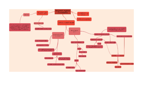mapa-conceptual-proteccion-t1.pdf