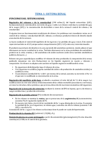 B5- SISTEMA RENAL.pdf