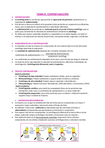 TEMA-8-apuntes.pdf