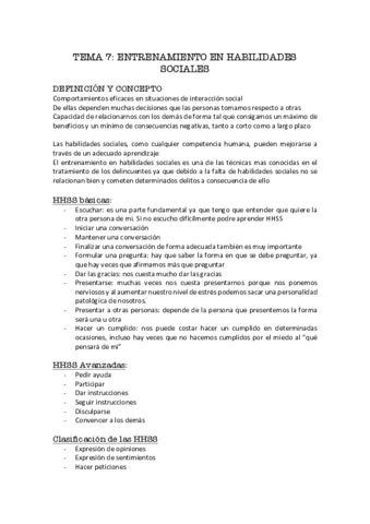 TEMA-7-PIP.pdf