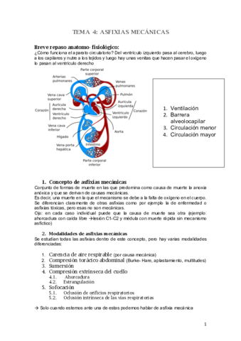 TEMA-4.pdf