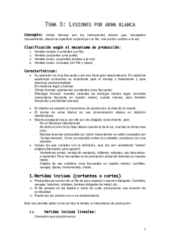 Tema-3.pdf