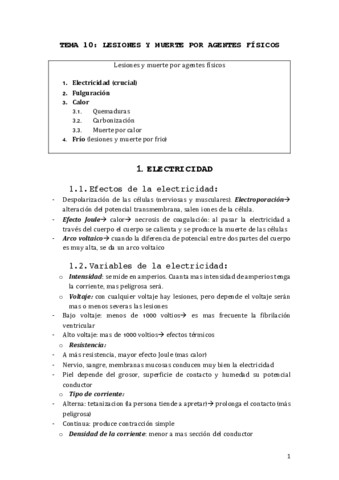 TEMA-10.pdf